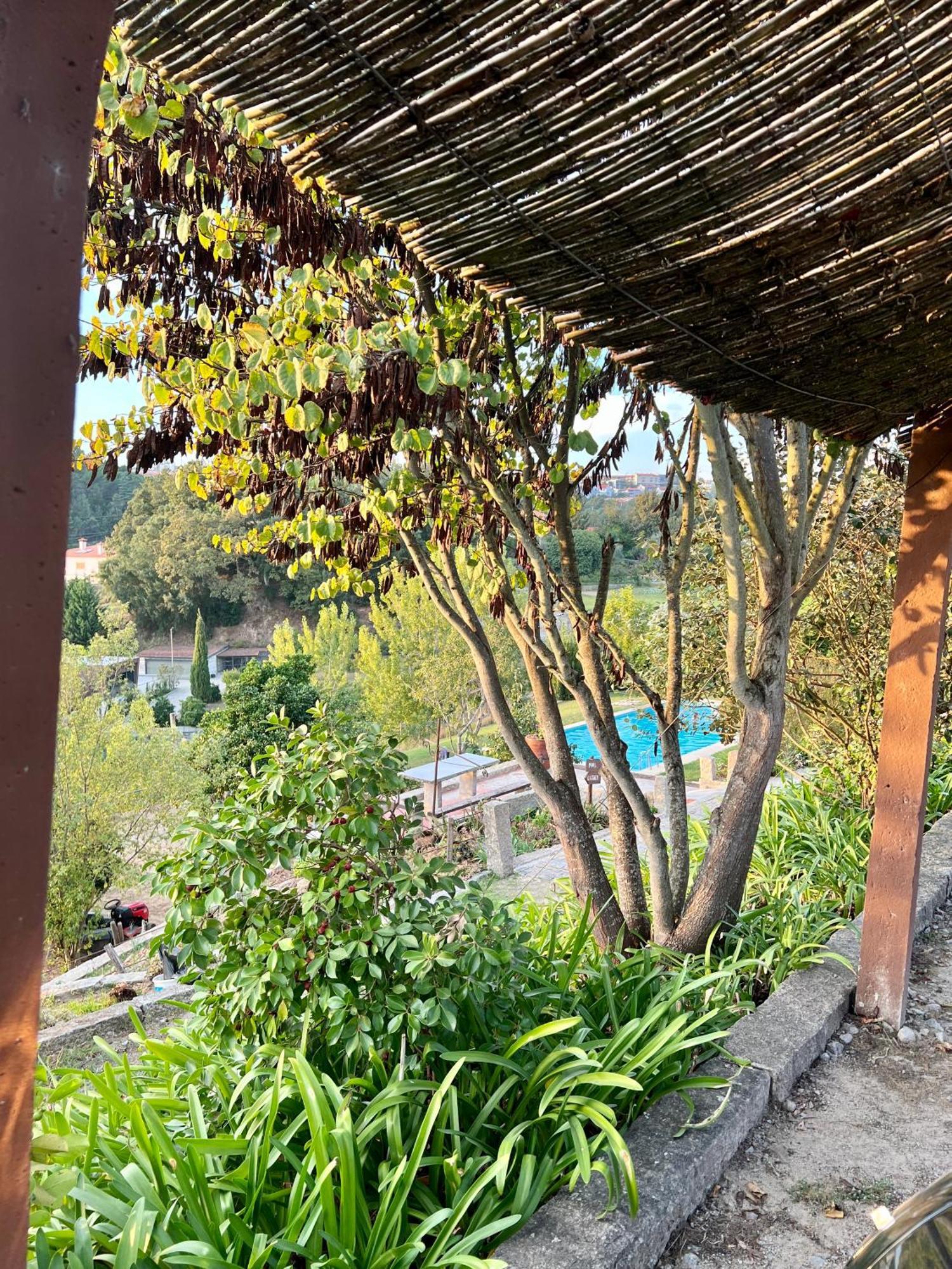 Quinta De Villasete Alpendurada Exterior photo