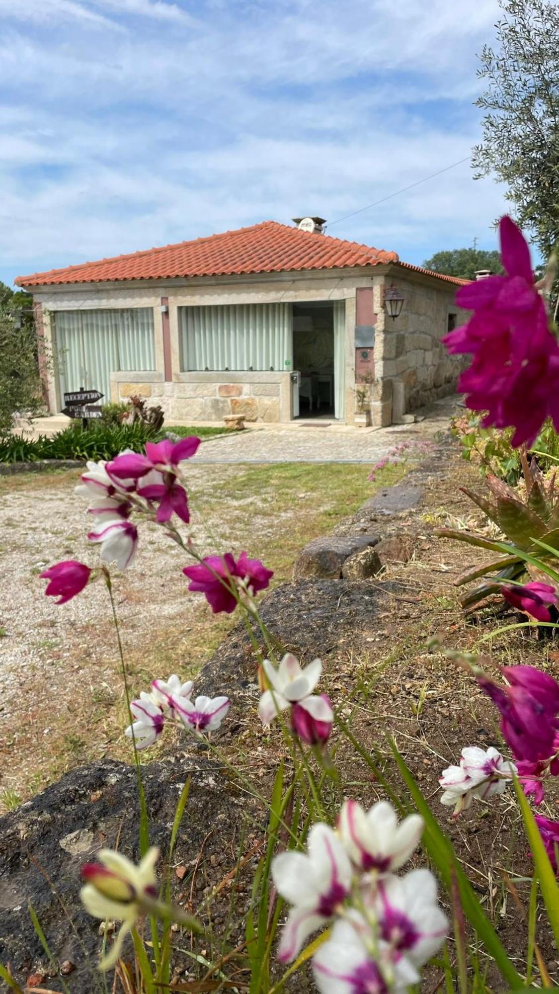 Quinta De Villasete Alpendurada Exterior photo