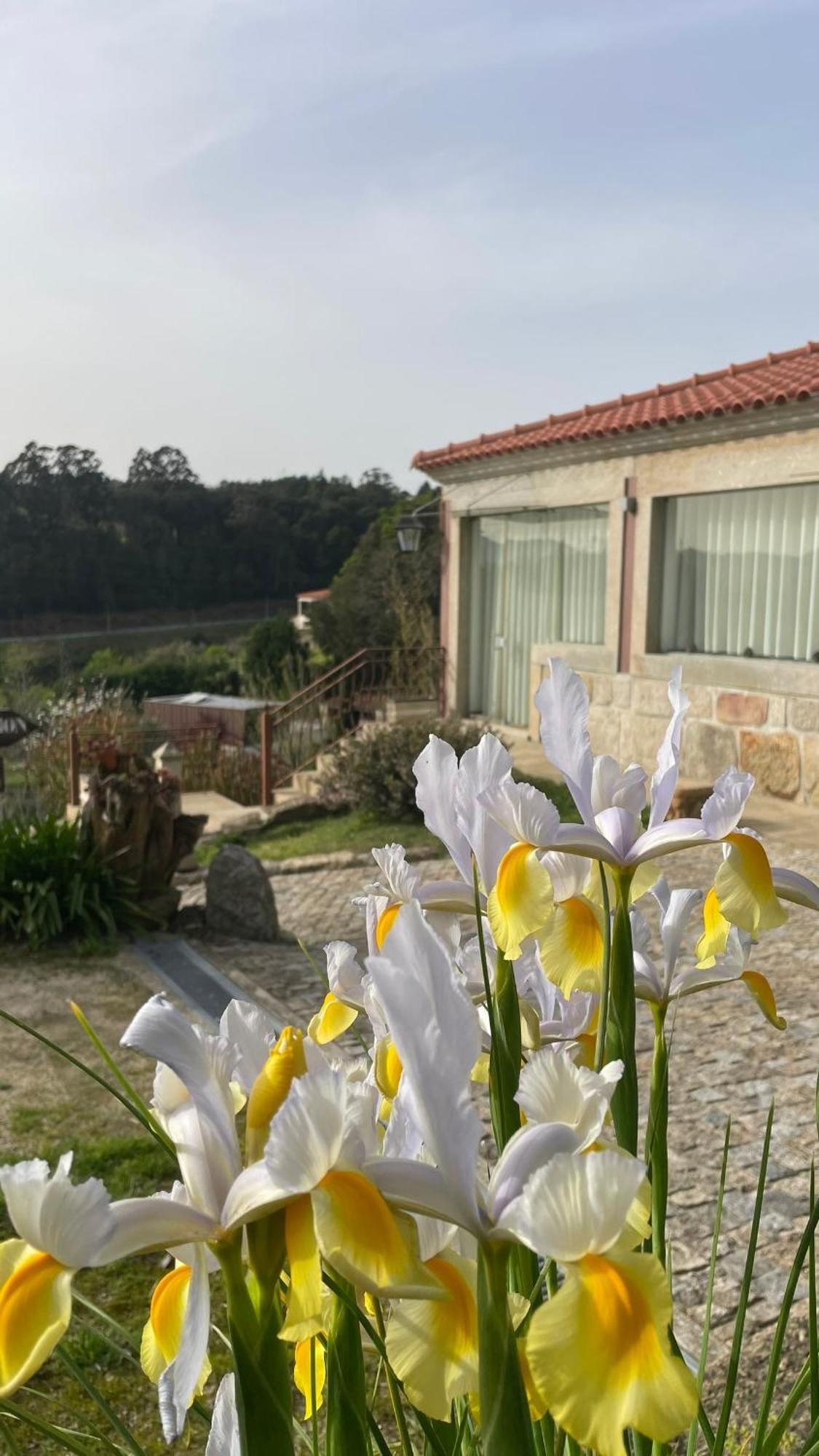 Quinta De Villasete Alpendurada Exterior photo